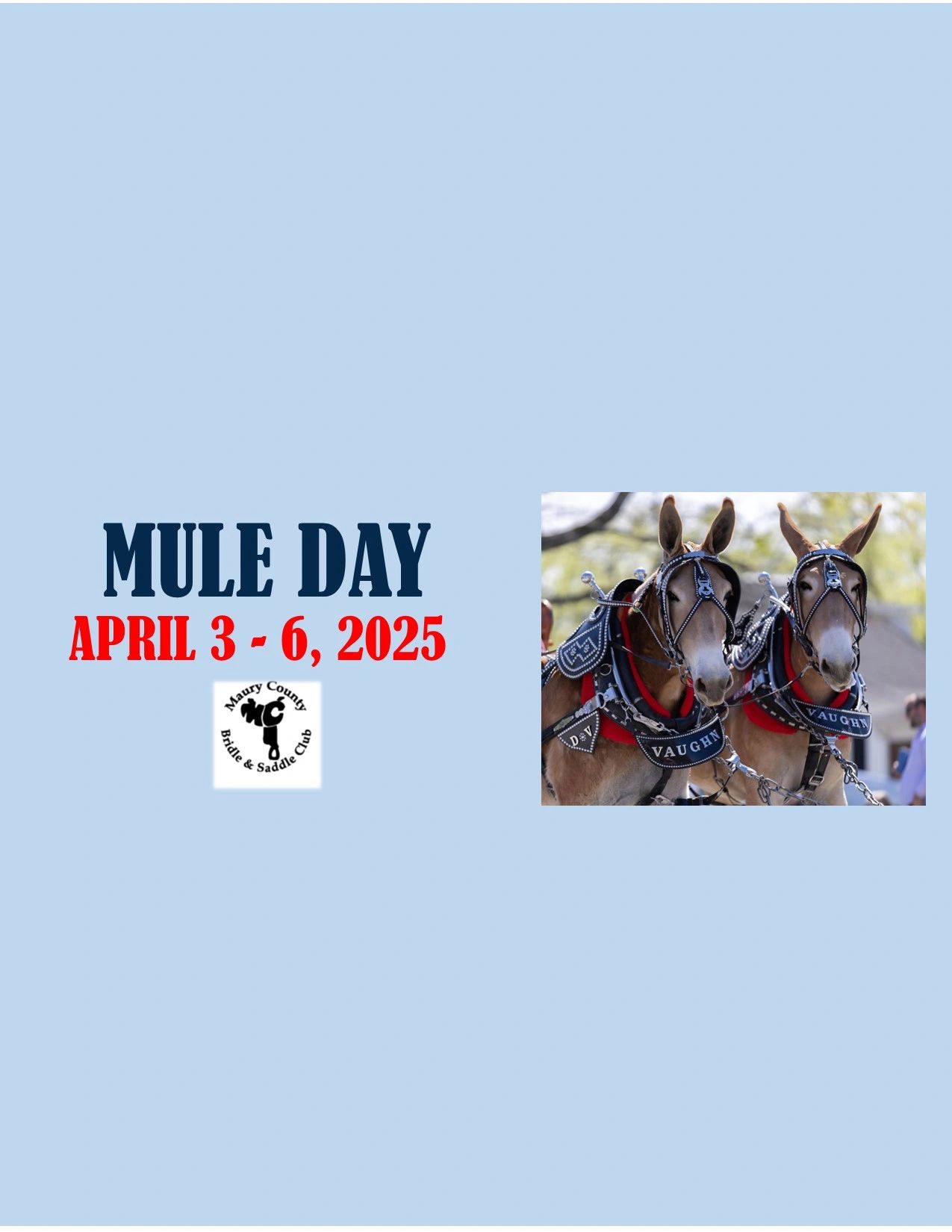 MULE DAY PARADE